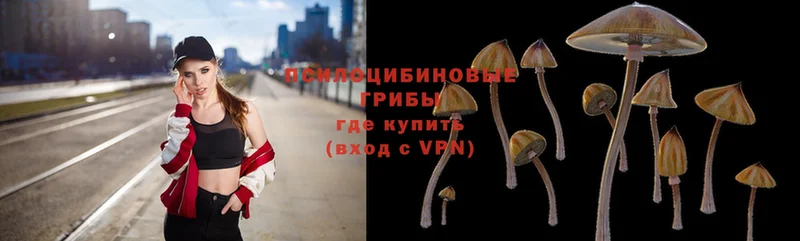 omg как войти  Миньяр  Галлюциногенные грибы Psilocybine cubensis 